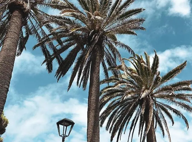 Casa La Laja Apartment