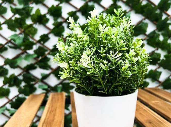 Casa La Laja * San Juan de la Rambla