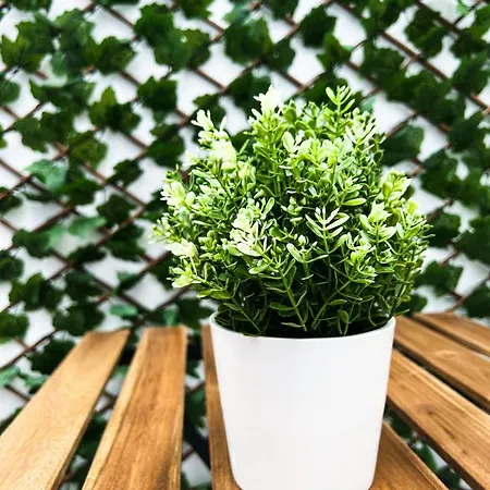 Casa La Laja * San Juan de la Rambla